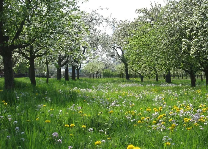 Ferienwohnung Zwischen Rhein Und Schwarzwald