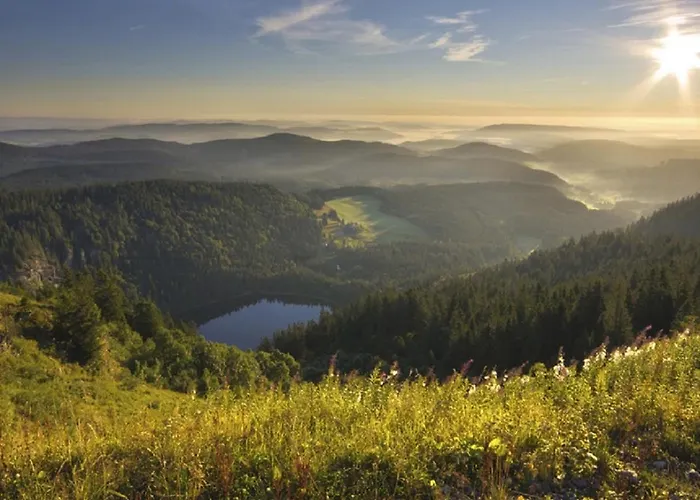 Ferienwohnung Zwischen Rhein Und Schwarzwald
